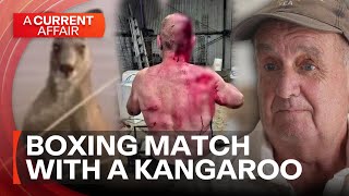 Farmer attacked by a kangaroo lucky to be alive | A Current Affair