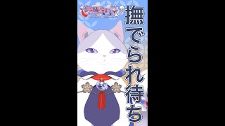 【 #初見歓迎 #朝活 #雑談  】おはよ！！！寝落ちからの飛び起き猫の月初め定期配信【  #新人VTuber #タマ公式配信 #猫 #絣華ミタマ 】