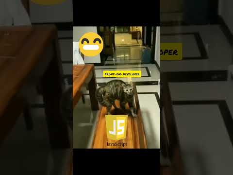 Funny Programming #edit #funny #animation #software #funnyvideo #shorts #viral