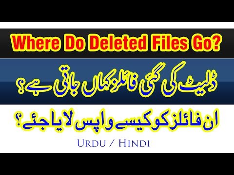 Where Do Deleted Files Go? | ڈلیٹ کی گئی فائلز کہاں جاتی ہے؟