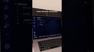 Python vs. Java vs. Assembly: Hello World Performance Comparison