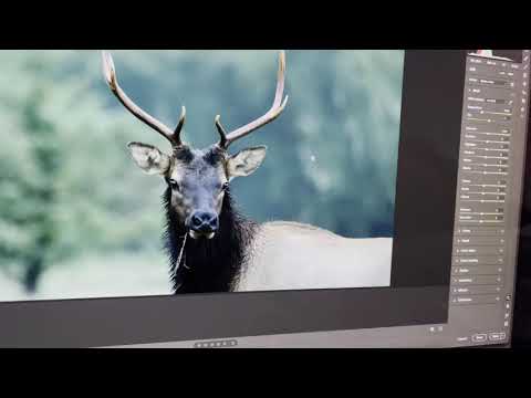 iMac and Adobe Camera Raw crash after Big Sur