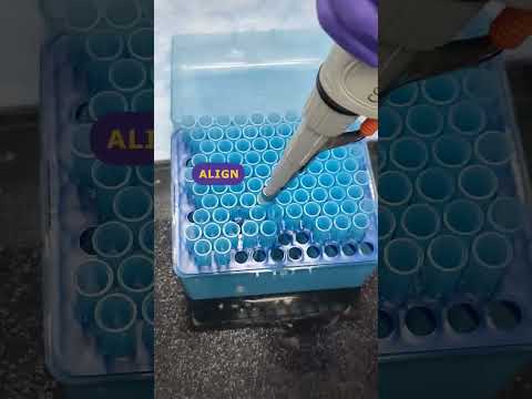 A Day in the Life of a Scientist - Lab Edition