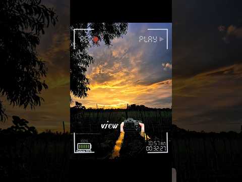 Nature always peaceful 🍃