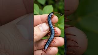 Beautiful Wild Animal Growth transformation! 💀