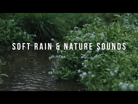Rainy Day at the Conrad Weiser Homestead | Cinematic View in Robesonia, PA
