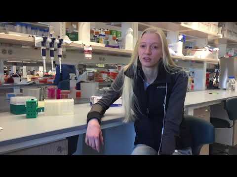 STEM Pathways 2018 Mini-Jamboree: Introduction by Rachel