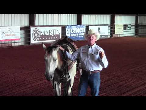 Better Horses TV: Continuation on Snaffle Bits
