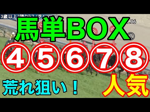 【競馬検証】荒れ狙い！④⑤⑥⑦⑧人気の馬単BOXを検証！