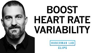 Simple Tool to Boost Heart Rate Variability (HRV) | Dr. Andrew Huberman