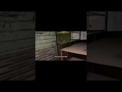 SOMETHINGS OUT THERE BUT WE KEEP GOING #funny #paranormal #scary #scarystories #weird #strange