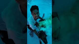 #dog swimming 😅 #artist #dog_features
