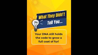 Your DNA still holds the code to grow a full coat of fur!