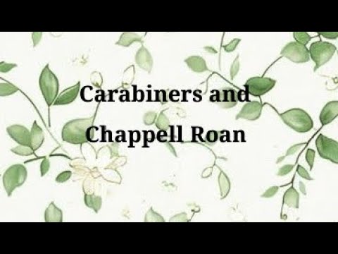 Carabiners and Chappell Roan - Flagging and Queer Coding in Real Life