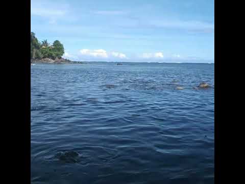 Surigao Trip