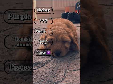 once again.          no shorts 4 u