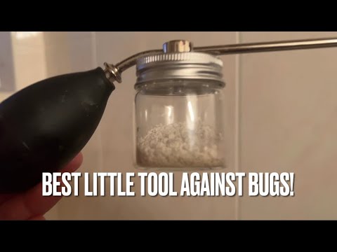 Best Little Tool to Combat Bugs in Tight or Overhead Spaces