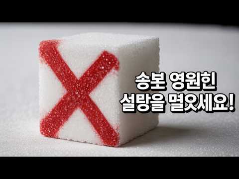 속보  영원히 설탕을 끊으세요!