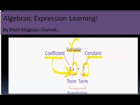 what are algebraic expression