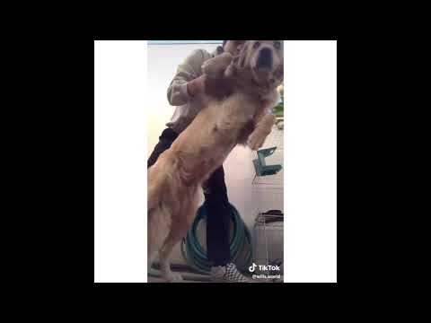 “joker’s bathroom dance” tik tok complication