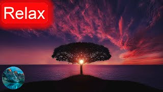 🔴 Calming Music, Study Music, Work Music, Deep Focus Music, Deep Sleep Music, Peaceful Music!🏝️