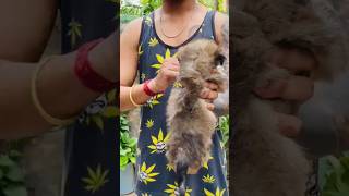 #doglover ☺️#statusvideo #whatsapp #cutestatus 🥰🐕