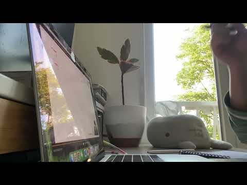 STUDY WTH ME 1H RealTime| White Noises