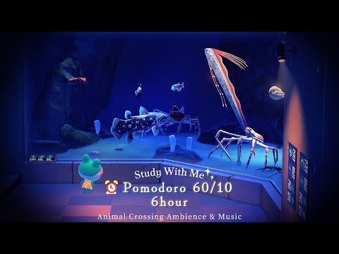 ⏰Pomodoro Timer 60/10 - "Fish Exhibit" in the Animal Crossing Museum🐟 / Study with me 6Hour✏️