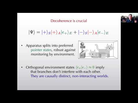 Sean Carroll - "Mad-Dog Everettianism"