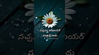 Telugu Whatsapp status Telugu Dailouge status Emotional status Telugu whatsapp videos#love#shorts