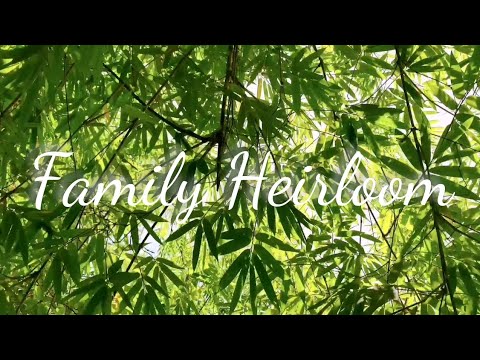 "Family Heirloom" - (Life Documentation Series)