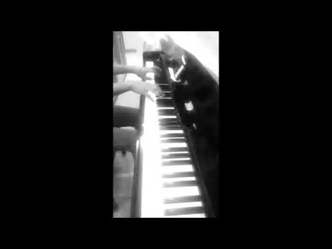 Chopin Etude in C-sharp minor Op. 10 No. 4