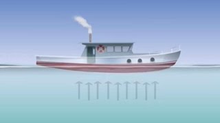 Archimedes Principle - Class 9 Tutorial