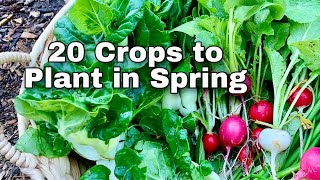 20 Crops to Plant in Your Spring Garden