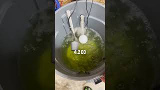 The Craft Farmer Irrigation System 🔥