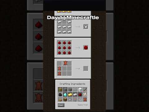Minecraftle day 1