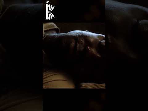 Beloved Black Actors #youtubeshorts #foryou #shorts #viral #trending #knowlativity