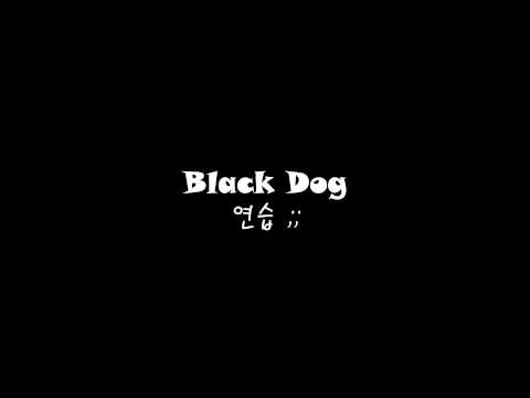 블랙독 연습