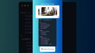 Expanding Cards #coding #subscribe #webprogrammer #htmlcssjavascript #css3 #code #programming