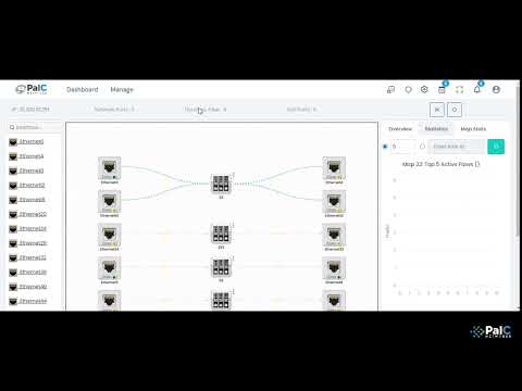 DPB GUI: A Visual Journey with PalC Networks