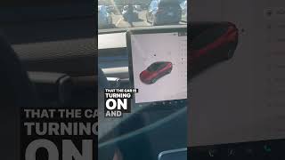 How To Use Tesla Autopilot:  A Guide for Tesla Newbies