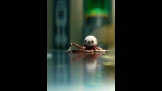 Alien Earth：This eyeball escaped