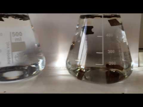 Reverse Maturation (part 1) Three minutes in