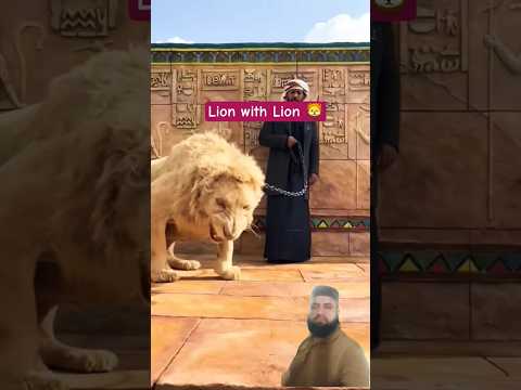 Lion with Lion 🦁 #shorts #viral #viralshorts #viralvideos