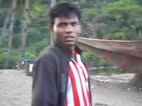 goabeach cow morning