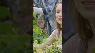 Boost Your Mood with Nature:Gardening & Indoor Greenery #NatureTherapy #MentalHealth #BoostYourMood