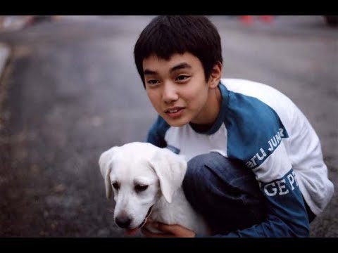 Heart is...Chú chó tuyệt vời「FMV」Hearty Paws 마음이 - Yoo Seung Ho | Korean Movie
