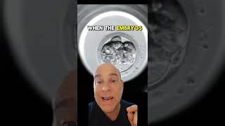 the first few days of human embryo development are amazing