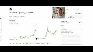 Top 3 High Risk High Reward Stocks: #nak  #GLATF #aspi  – 10x Potential in 2026?