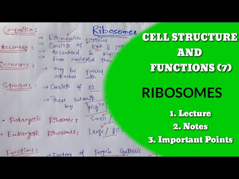 MDCAT Biology unit 3 | Ribosomes | MDCAT 2023 | Biology 1st year | The Cell